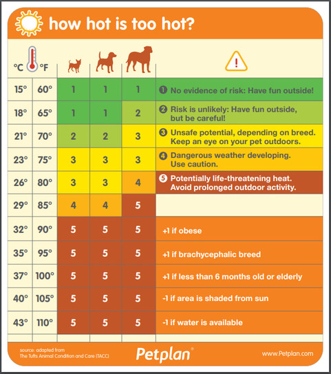 This is a chart that helps you know when it is getting too hot for your dog.