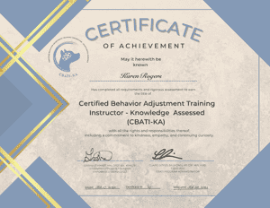 Certificate for learning the CBSTIKA training