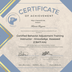 Certificate for learning the CBSTIKA training
